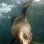 Galapagos 2007_2012007.jpg