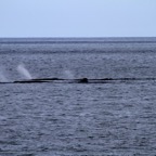 Galapagos 2007_2012009.jpg