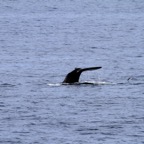 Galapagos 2007_2012010.jpg