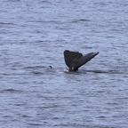 Galapagos 2007_2012011.jpg