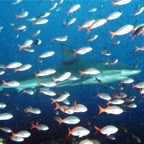 Galapagos 2007_2012012.jpg