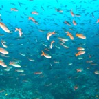 Galapagos 2007_2012013.jpg