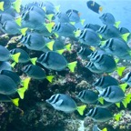 Galapagos 2007_2012020.jpg