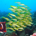 Galapagos 2007_2012022.jpg
