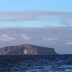 Galapagos 2007_2012030.jpg