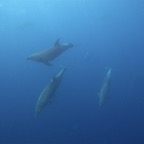 Galapagos 2007_2012037.jpg