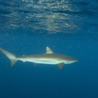 Galapagos 2007_2012038.jpg
