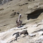 Galapagos 2007_2012043.jpg