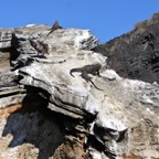 Galapagos 2007_2012044.jpg