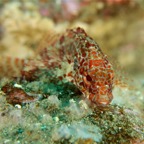 Galapagos 2007_2012053.jpg