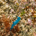 Galapagos 2007_2012056.jpg