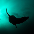 Galapagos 2007_2012058.jpg
