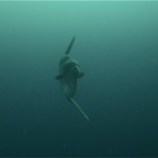 Galapagos 2007_2012059.jpg