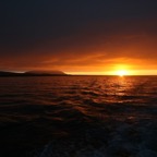 Galapagos 2007_2012063.jpg