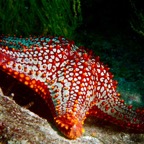 Galapagos 2007_2012065.jpg