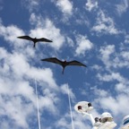 Galapagos 2007_2012066.jpg