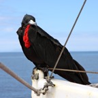 Galapagos 2007_2012069.jpg