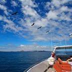 Galapagos 2007_2012070.jpg