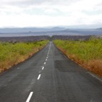 Galapagos 2007_2012073.jpg