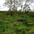 Galapagos 2007_2012075.jpg