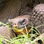 Galapagos 2007_2012077.jpg
