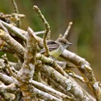Galapagos 2007_2012079.jpg