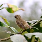 Galapagos 2007_2012082.jpg