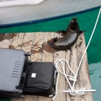 Galapagos 2007_2012088.jpg