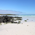 Galapagos 2007_2012095.jpg
