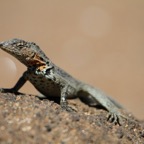 Galapagos 2007_2012109.jpg