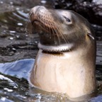 Galapagos 2007_2012111.jpg