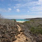 Galapagos 2007_2012115.jpg