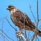 Galapagos 2007_2012119.jpg