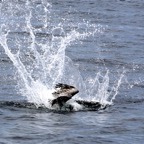 Galapagos 2007_2012130.jpg