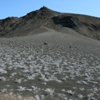 Galapagos 2007_2012166.jpg