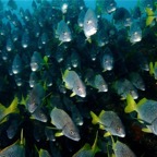 Galapagos 2007_2012169.jpg