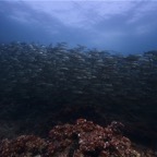 Galapagos 2007_2012171.jpg