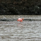 Galapagos 2007_2012173.jpg