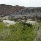 Galapagos 2007_2012176.jpg