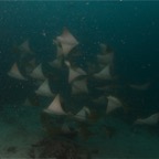 Galapagos 2007_2012178.jpg