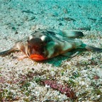 Galapagos 2007_2012179.jpg