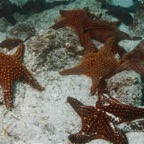 Galapagos 2007_2012180.jpg