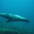 Galapagos 2007_2012196.jpg