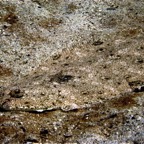 Galapagos 2007_2012197.jpg