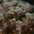 Galapagos 2007_2012198.jpg