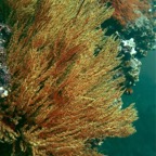 Galapagos 2007_2012200.jpg