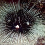 Galapagos 2007_2012201.jpg