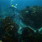 Galapagos 2007_2012202.jpg