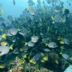 Galapagos 2007_2012206.jpg