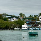 Galapagos 2007_2012216.jpg